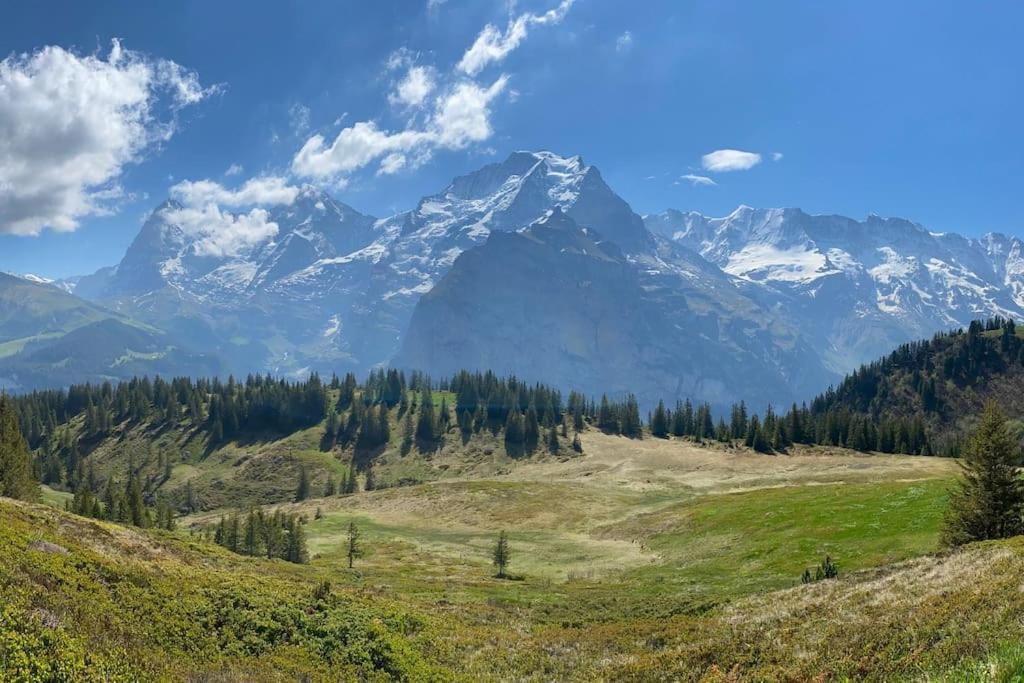 Bönigen Chalet Mignon - Your Vacation Oasis At Lake Brienz מראה חיצוני תמונה