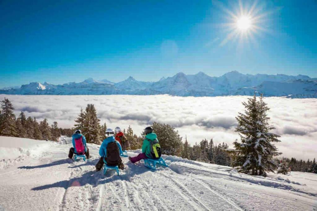 Bönigen Chalet Mignon - Your Vacation Oasis At Lake Brienz מראה חיצוני תמונה