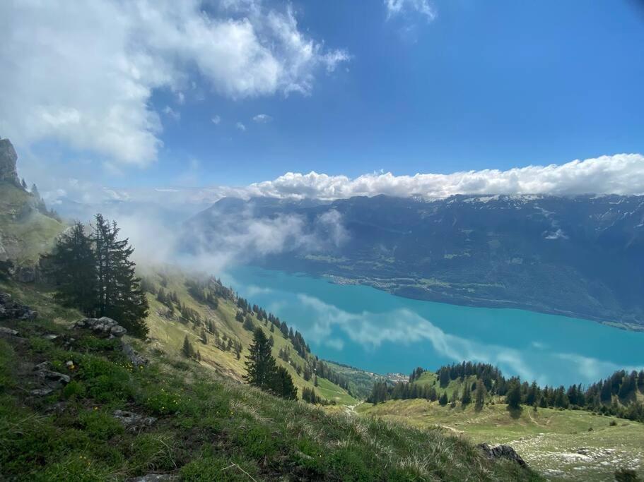 Bönigen Chalet Mignon - Your Vacation Oasis At Lake Brienz מראה חיצוני תמונה