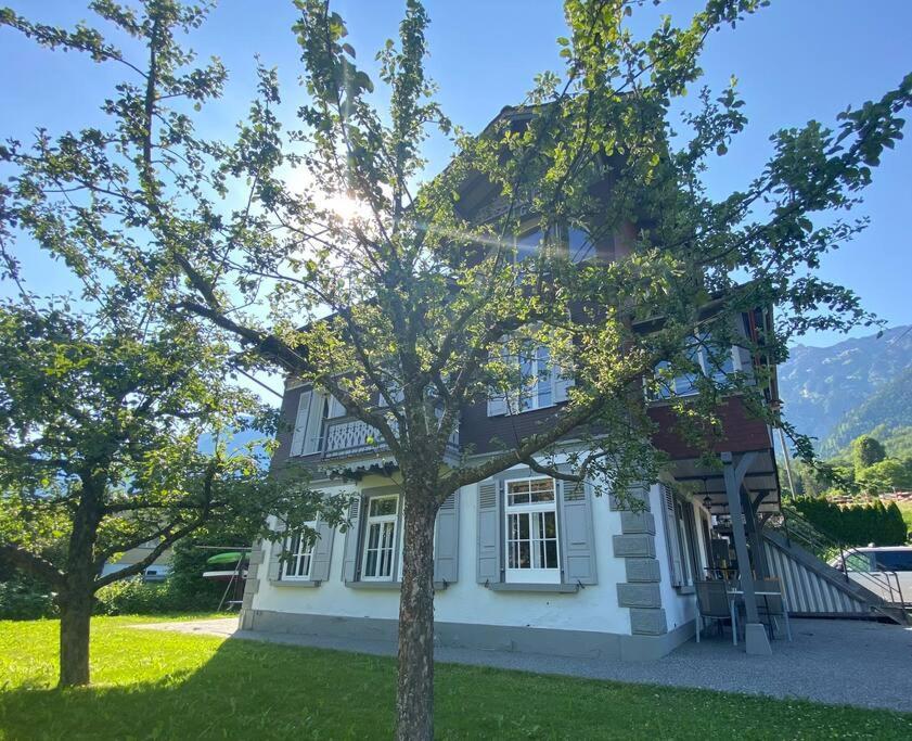 Bönigen Chalet Mignon - Your Vacation Oasis At Lake Brienz מראה חיצוני תמונה